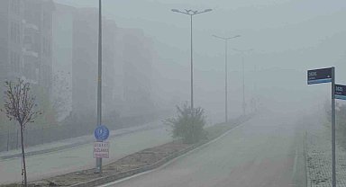 Elazığ'da yoğun sis, bir mahalle adeta kayboldu