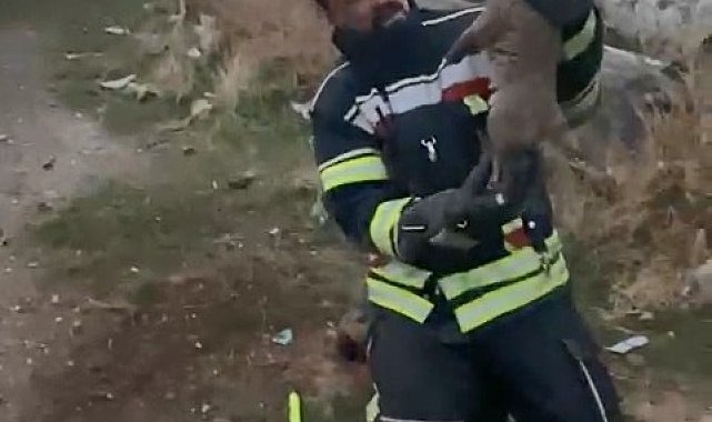 Elazığ'da yürek ısıtan kurtarma operasyonu