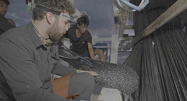 Endonezya'da ağlara takılan balina köpekbalığı uzun uğraşlar sonucu kurtarıldı