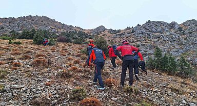 Erzincan'da kayalıklarda mahsur kalan 11 keçi 3 saatlik operasyonla kurtarıldı