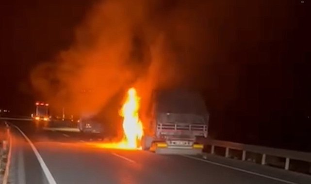 Erzincan'da seyir halindeki tır alev alev yandı