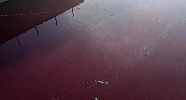 Esenyurt'ta derenin rengi kırmızıya döndü