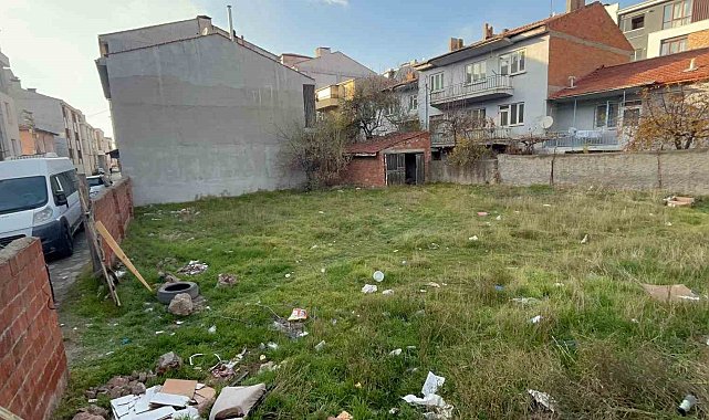 Eskişehir'de boş arsada 8 ölü kedi bulundu