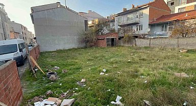 Eskişehir'de boş arsada 8 ölü kedi bulundu