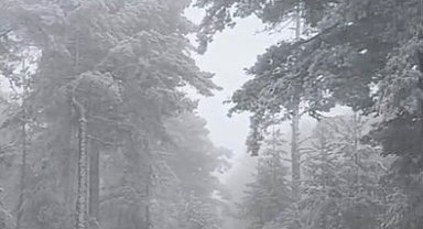 Eskişehir'e mevsimin ilk karı yağdı