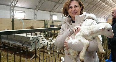 Eskişehir'de üreticilere iki ayrı destek paketi