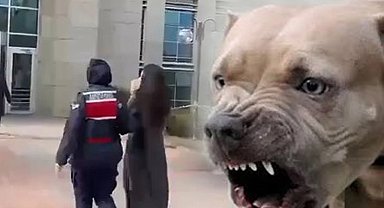 Etimesgut'ta pitbull dehşetinde yeni gelişme... Köpek sahibi tutuklandı!