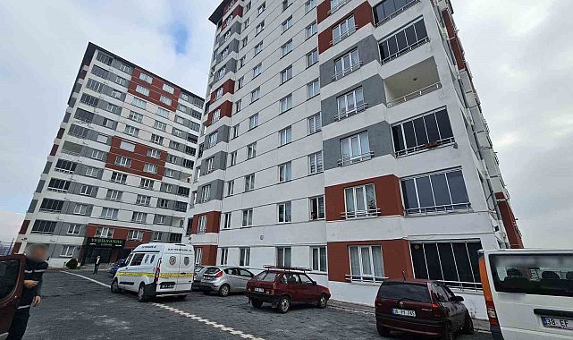 Evi taşınırken tartıştığı nakliyeciyi bıçakladı