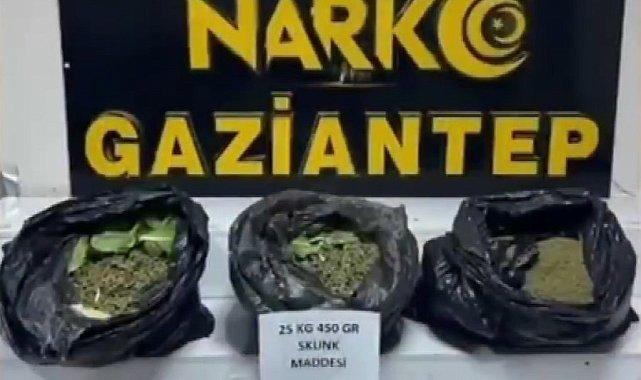 Gaziantep'te 22 kilo skunk ile çok sayıda silah ele geçirildi: 7 gözaltı