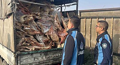 Gaziantep'te kamyonet kasasında kilolarca bozuk et ele geçirildi