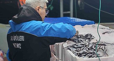 Gelibolu'da 45 kilo balığa el konuldu, 37 bin 770 lira para cezası kesildi