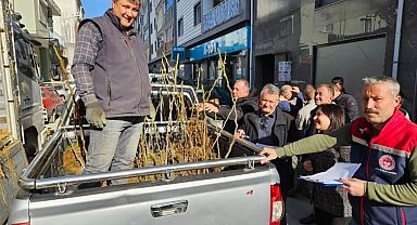 Germencik'te üreticiye 4 bin sertifikalı fidan desteği