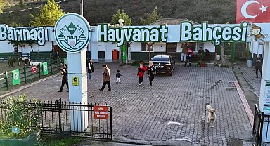 Giresun Hayvan Barınağı 2025'e damga vurdu