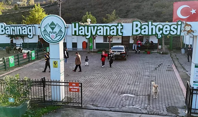Giresun Hayvan Barınağı 2025'e damga vurdu