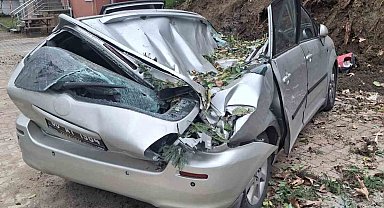 Giresun'da devrilen ağaç bir aracı kullanılamaz hale getirdi