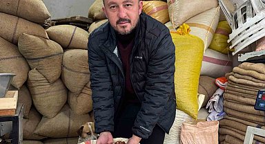 Giresun'da fındık fiyatı yılbaşına günler kala yükselişe geçti