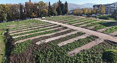 Gölcük'e yeni mezarlık alanları hazırlandı