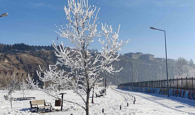 Göle eksi 16 dereceyi gördü, ağaçlar kırağı tuttu