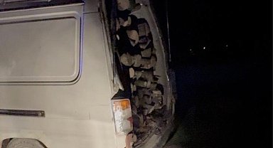 Gönen ve Manyas sınırında odun hırsızlığına suçüstü