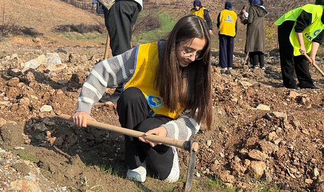 Gürsu'da yanan ormanlar yeniden yeşeriyor... 15 bin fidan toprakla buluştu