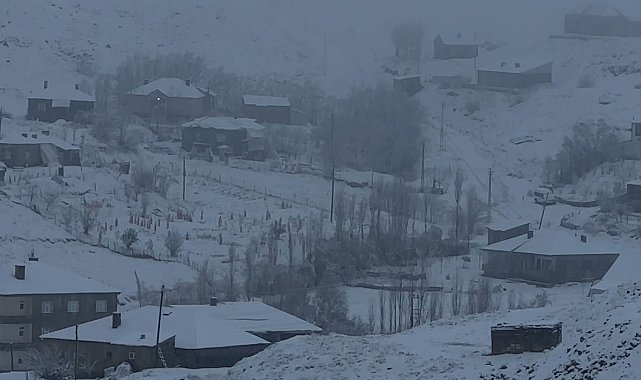 Hakkari'de 43 yerleşim yerinin yolu ulaşıma kapandı