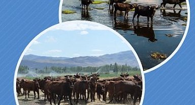 Halk elinde ıslaha 2,7 milyar TL destek