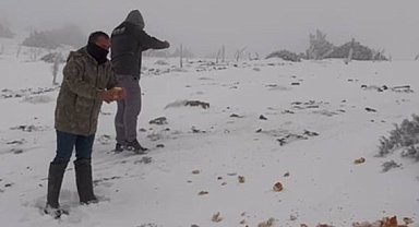 Halkapınar'da kar yağışı etkili oluyor