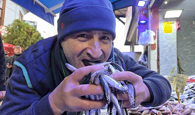 Hamsi revaçta