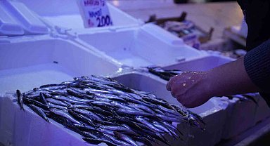 Hamsi zirvedeki yerini istavrite bıraktı