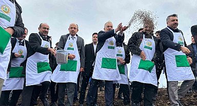 Harmancık'ta yanan 4 bin 256 hektar alan ağaçlandırılıyor