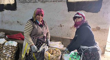 Hasadı biten patateste depolama süreci başladı