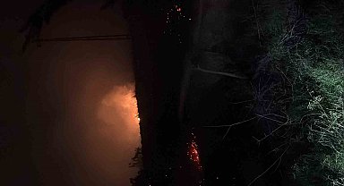 Hatay'da çıkan otluk yangını söndürüldü