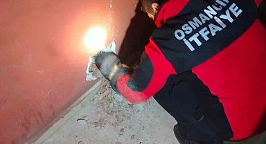 Havalandırma boşluğuna düşen kediyi itfaiye kurtardı