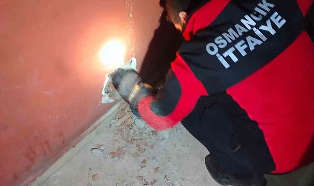 Havalandırma boşluğuna düşen kediyi itfaiye kurtardı