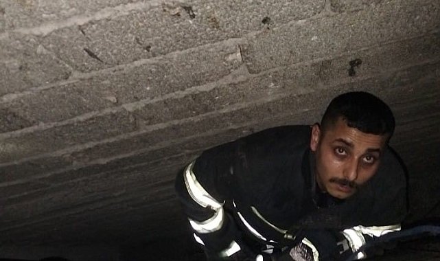 Havalandırma boşluğuna düşen yavru kediyi itfaiye kurtardı