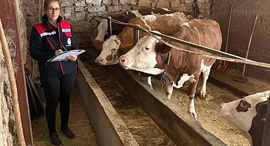 Hibe desteğiyle hayvancılık yapan besicilere yönelik denetim