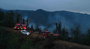 Hopa'daki orman yangını söndürüldü, soğutma çalışmaları sürüyor