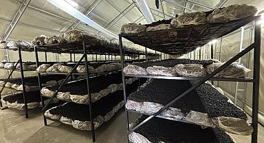 İlçenin ekonomisine yeni soluk