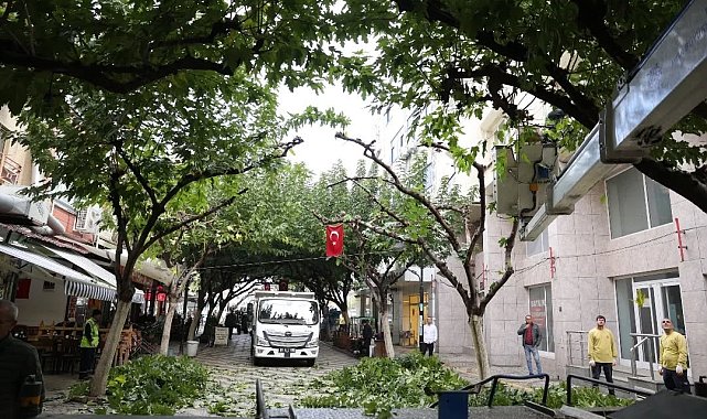 İncirliova Sevgi Yolu'ndaki ağaçlara bakım