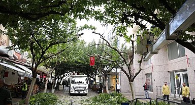 İncirliova Sevgi Yolu'ndaki ağaçlara bakım