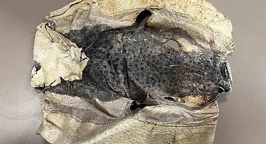 İzinsiz kullanılan Balon balığı projesi mahkemelik oldu