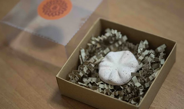 İzmir Bornova'nın 8 bin 500 yıllık hafızası gün yüzünde