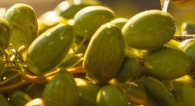 İzmir Kooperatifçilik Buluşmaları 19 Aralık'ta