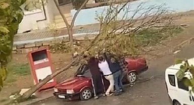 İzmir'de park halindeki otomobilin üzerine ağaç devrildi