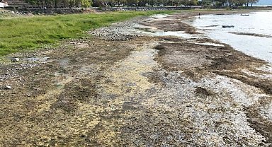 İznik Gölü kuruyor: Cargill'in yer altı sularından yılda 1 milyon metreküpten fazla su çektiği ileri sürülüyor