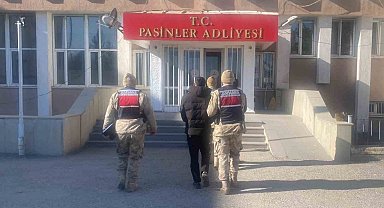 Jandarma büyükbaş hayvan hırsızlarını kısa sürede yakaladı