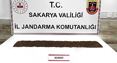 Jandarma uyuşturucuya geçit vermiyor: 1 tutuklama