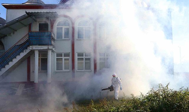 Kahverengi kokarca kışlak mücadelesi sürüyor