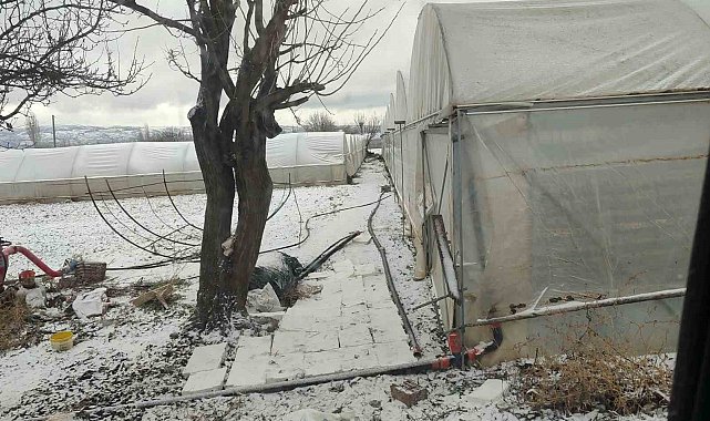 Kar yağışı sebebiyle seralar buz tuttu