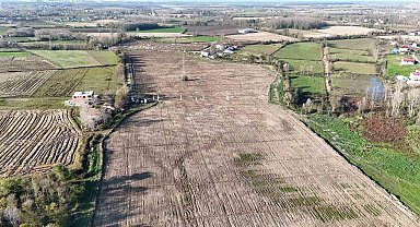 Karadeniz'in en büyük incir projesi: 50 milyon TL gelir kız çocuklarına verilecek
